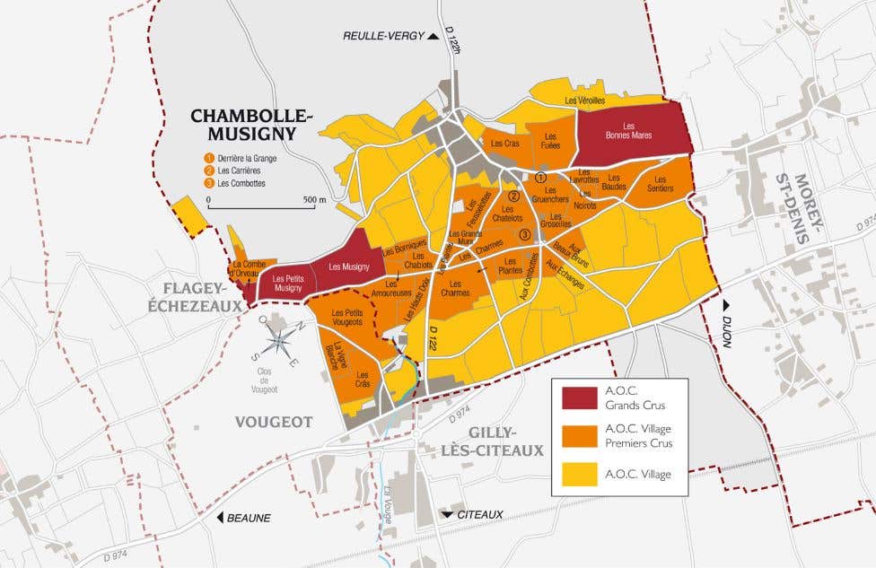 Wine of the Month - November 2022