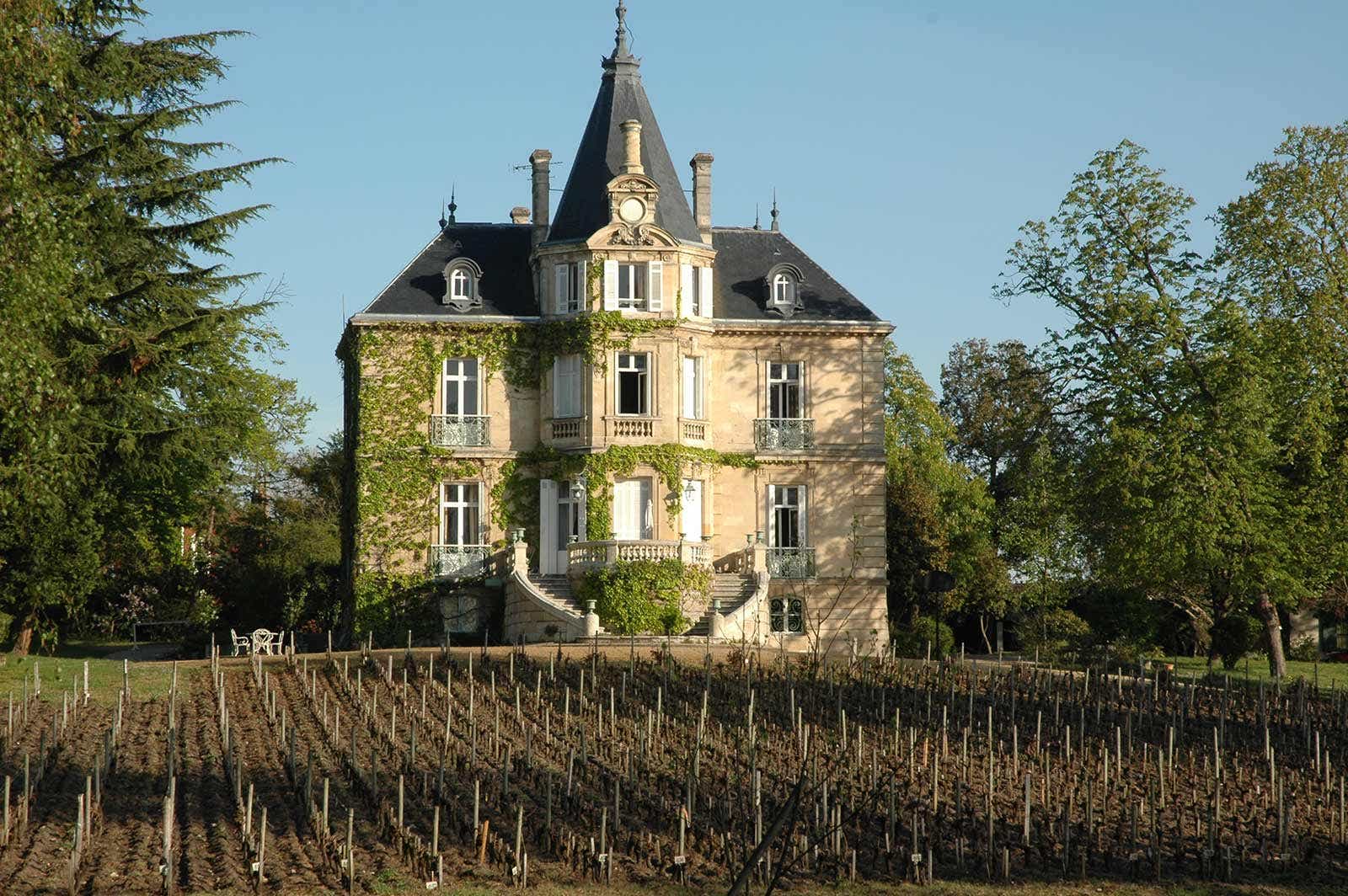 The Top Wine of 2020