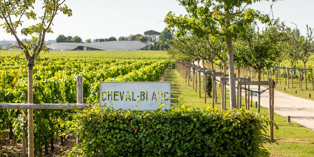 A Nearly Perfect Cheval Blanc